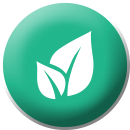 environment logo