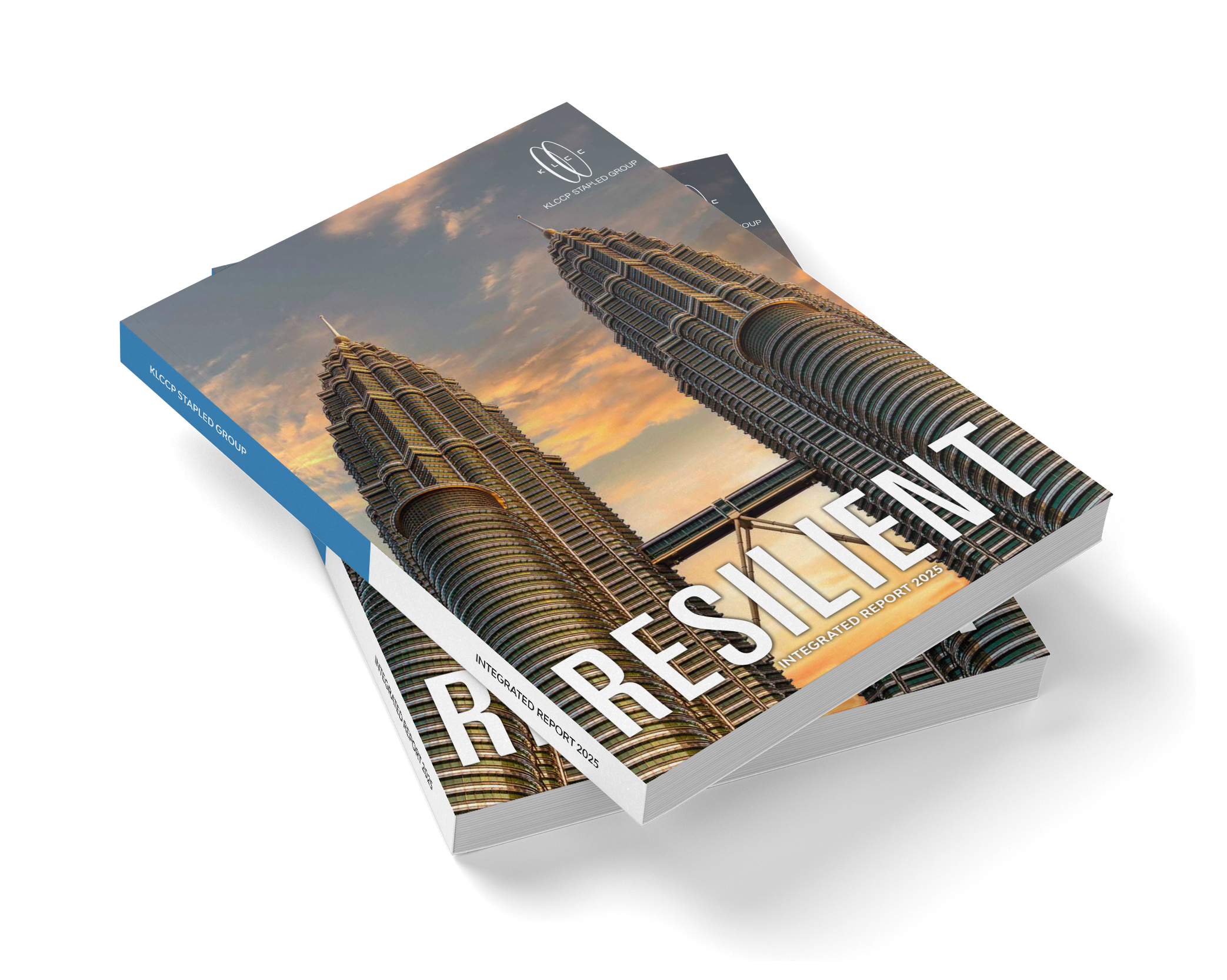 Integrated Report 2025